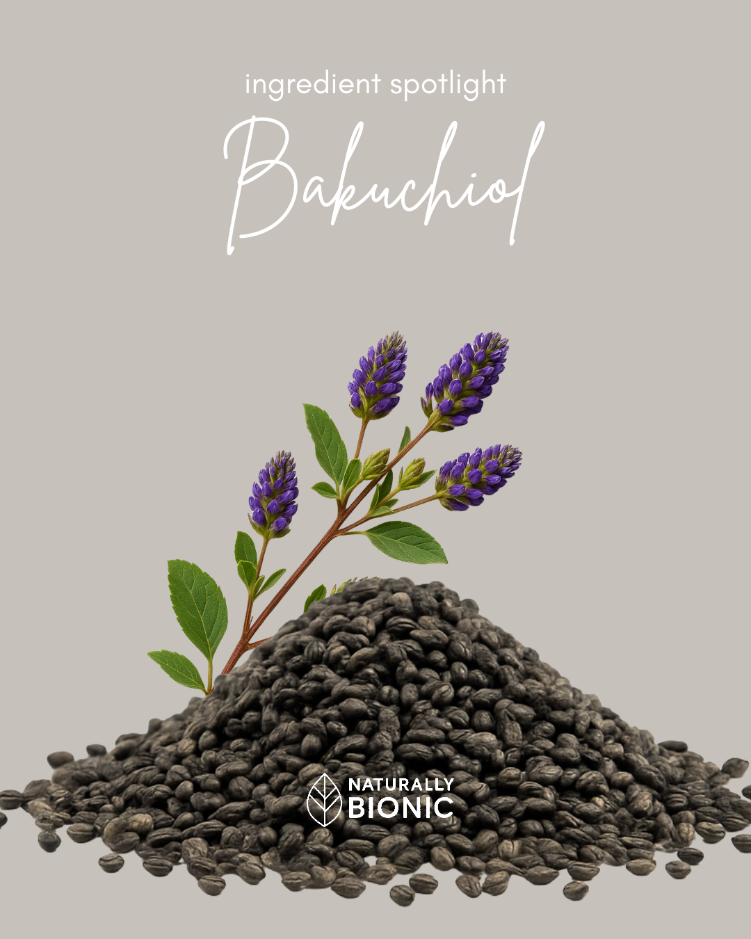 🌿 Ingredient Spotlight: Bakuchiol — Nature’s Gentle Retinol Alternative