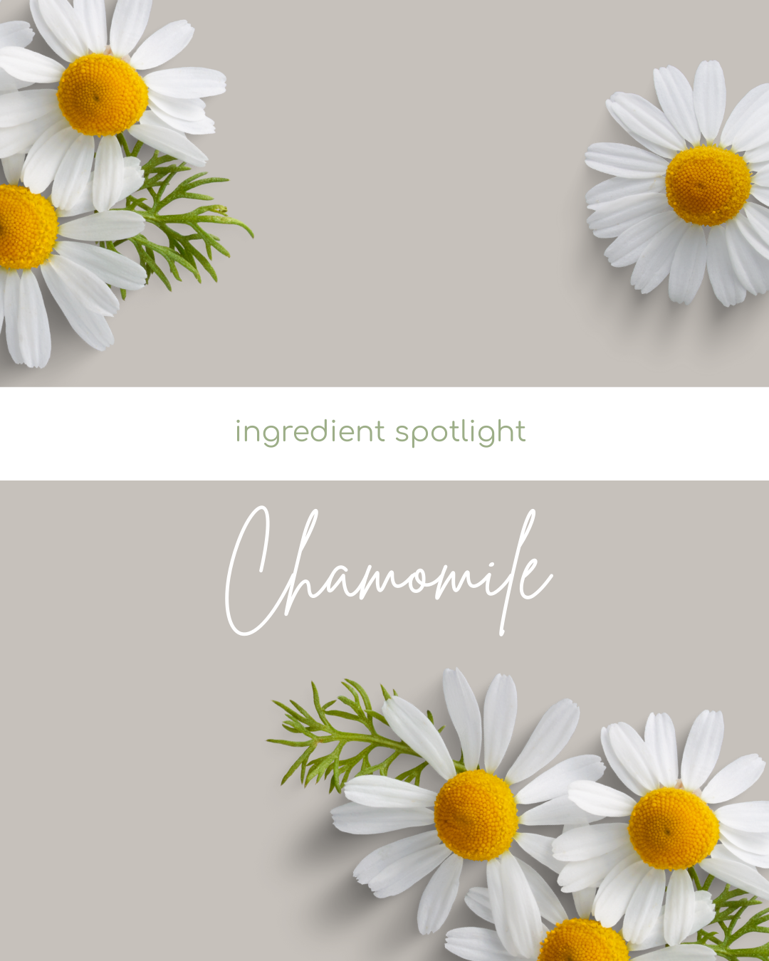 Chamomile CO₂: The Calming Skin Hero for Sensitive & Irritated Skin
